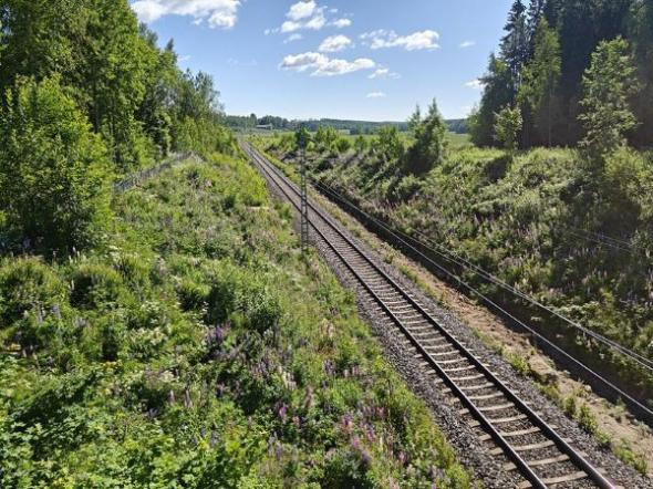 Finskt j&auml;rnv&auml;gssp&aring;r